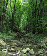 Bakonybél